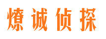 扶风市调查公司